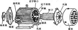 振動電機損壞的常見原因有哪些？